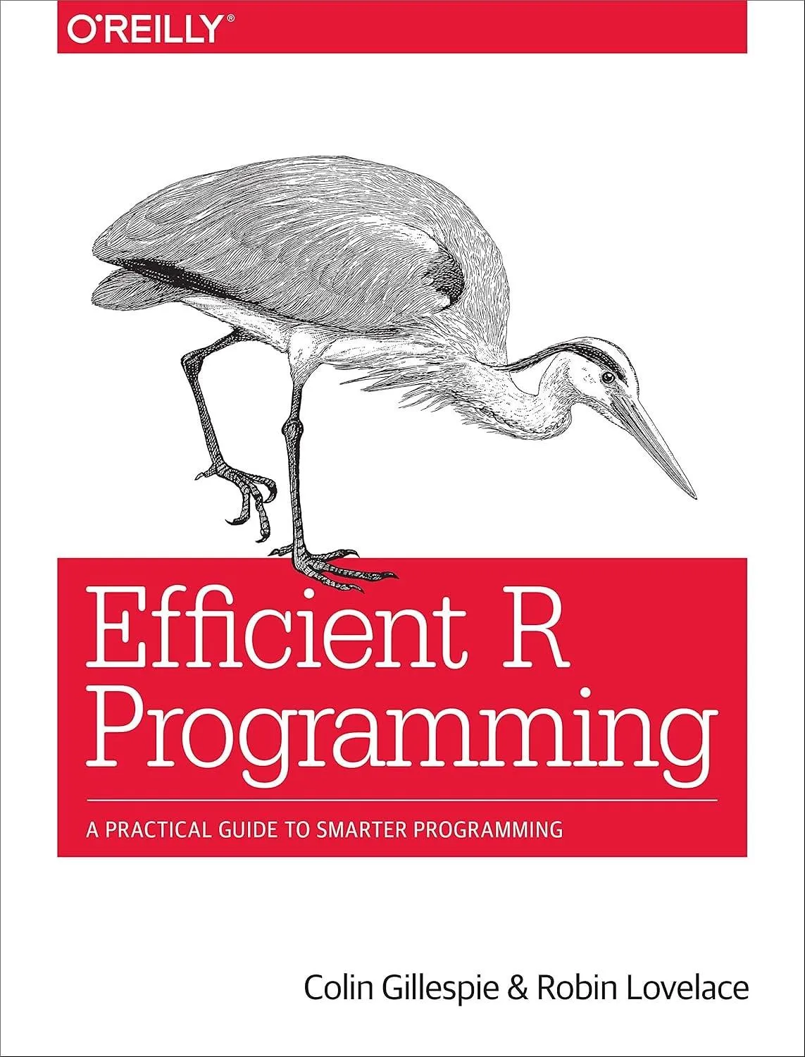 Efficient R Programming